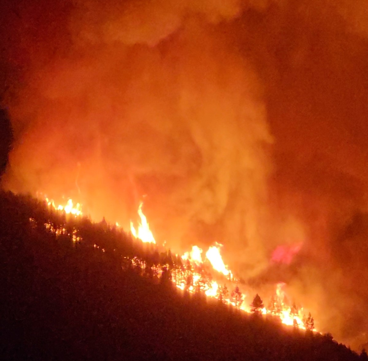 Incendio ‘fuera de control’ avanza en la isla española de Tenerife |  Mundo