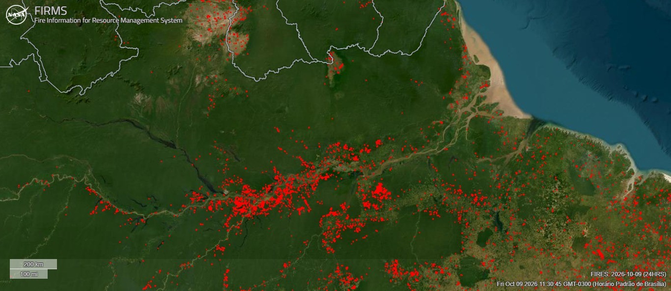 Incêndios avançam no oeste do Pará, ameaçam casas e mobilizam equipes em vários municípios