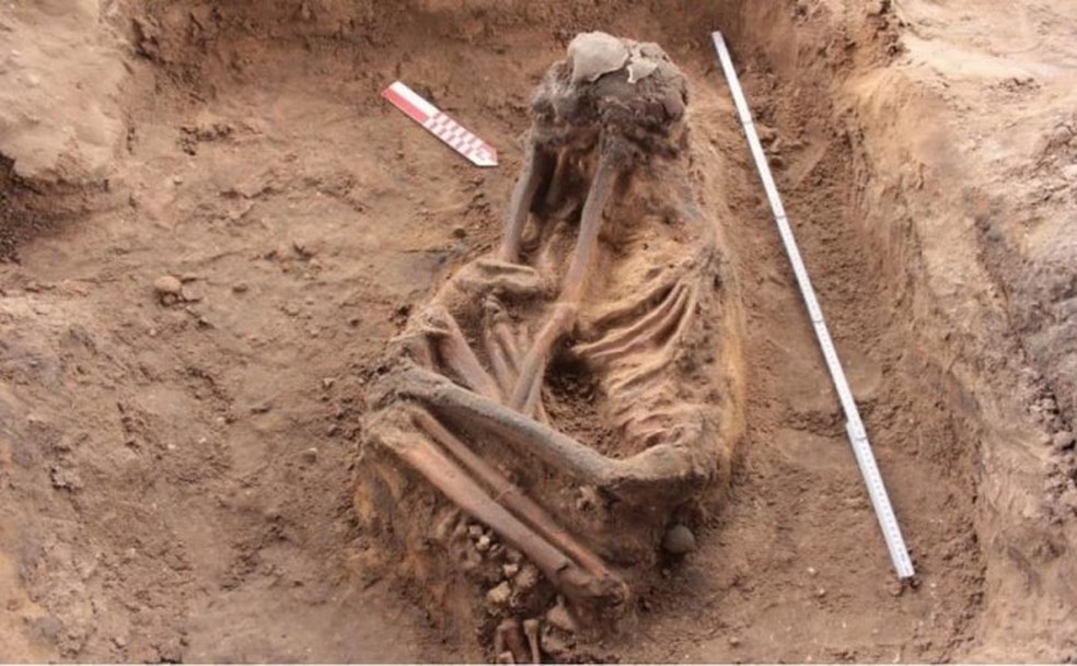 Terceiro esqueleto encontrado durante pesquisa arqueológica em área em que será construído um condomínio pela MRV, em São Luís. — Foto: Reprodução de W Lage Arqueologia