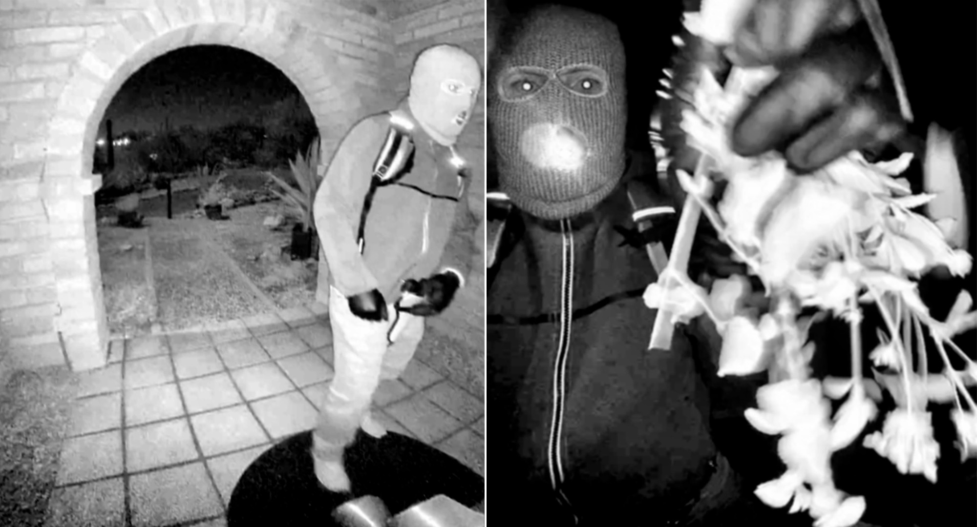 FBI libera imagens de suspeito de sequestrar a mãe de apresentadora de TV dos EUA