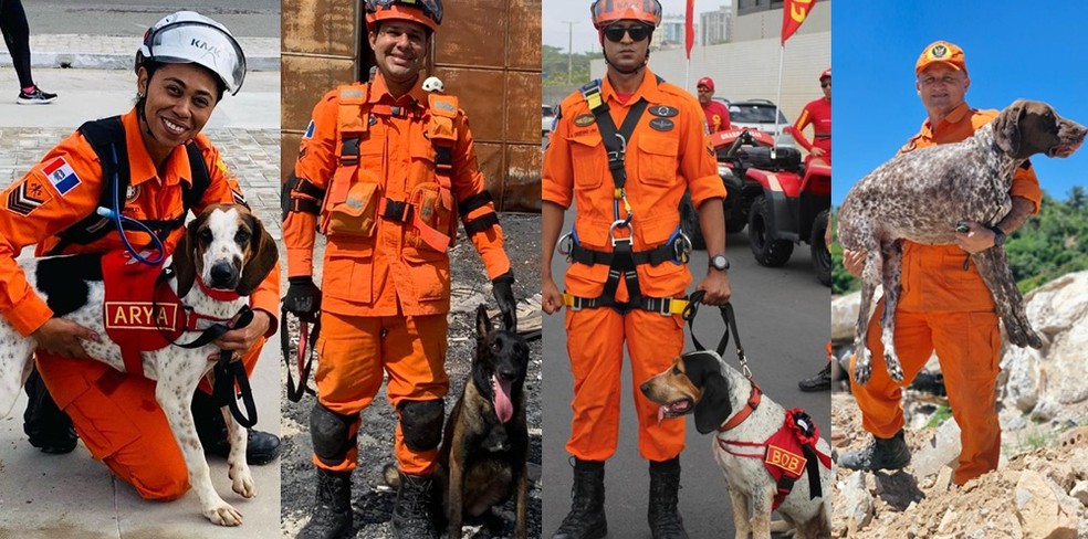 Cães e tutores do Corpo de Bombeiros de Alagoas — Foto: CBM-AL