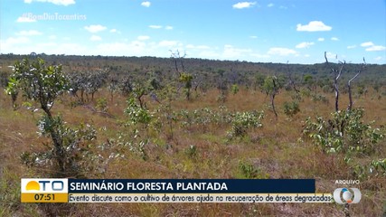 Seminário discute o cultivo de árvores na recuperação de áreas degradadas