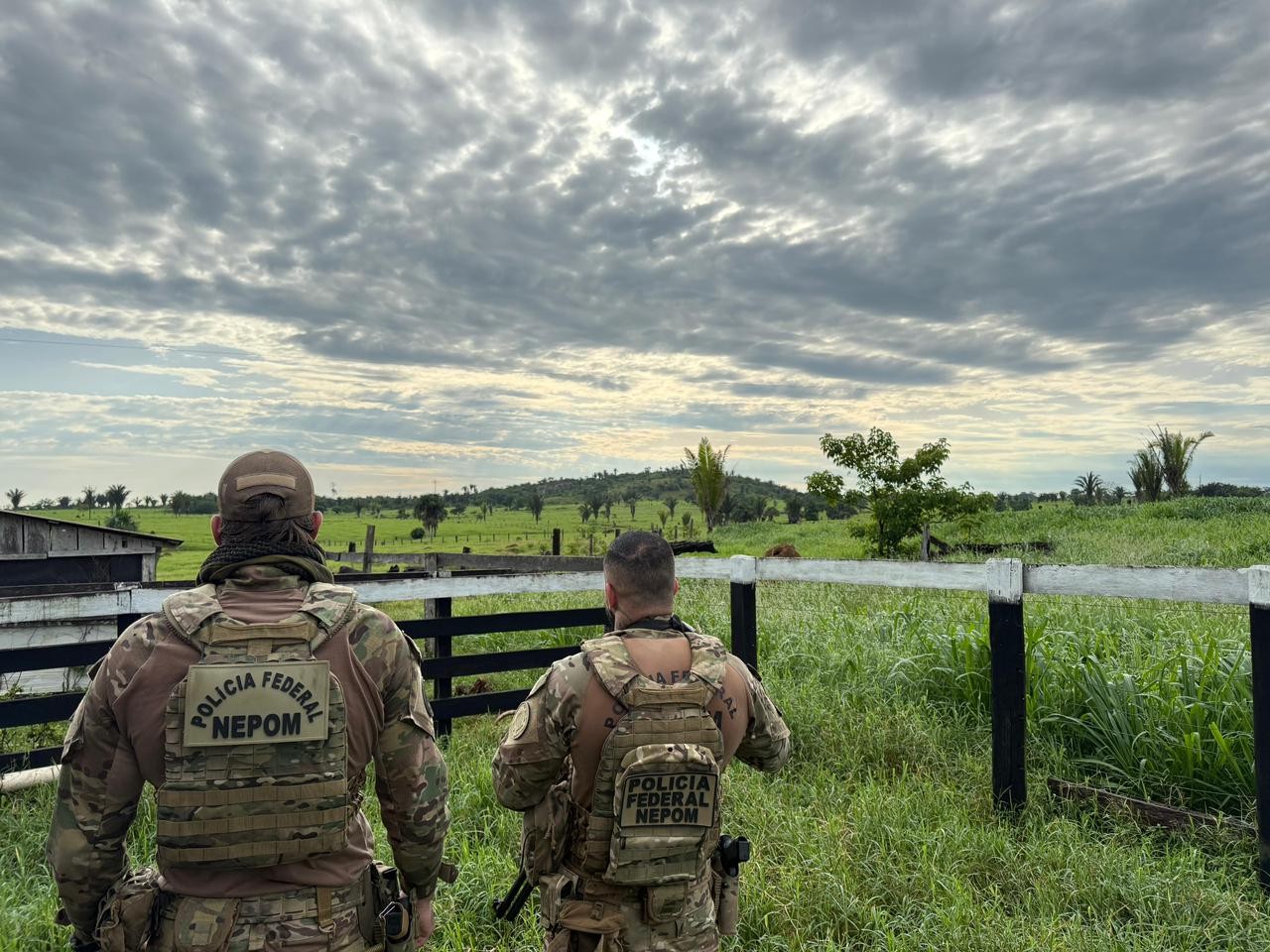 PF investiga ataque a família indígena e esquema de grilagem dentro de território em RO