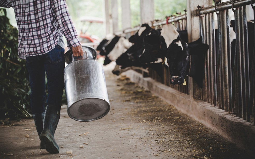Cemig é condenada a indenizar pecuarista que perdeu produção de leite e queijo por falta de energia em MG — Foto: TJMG
