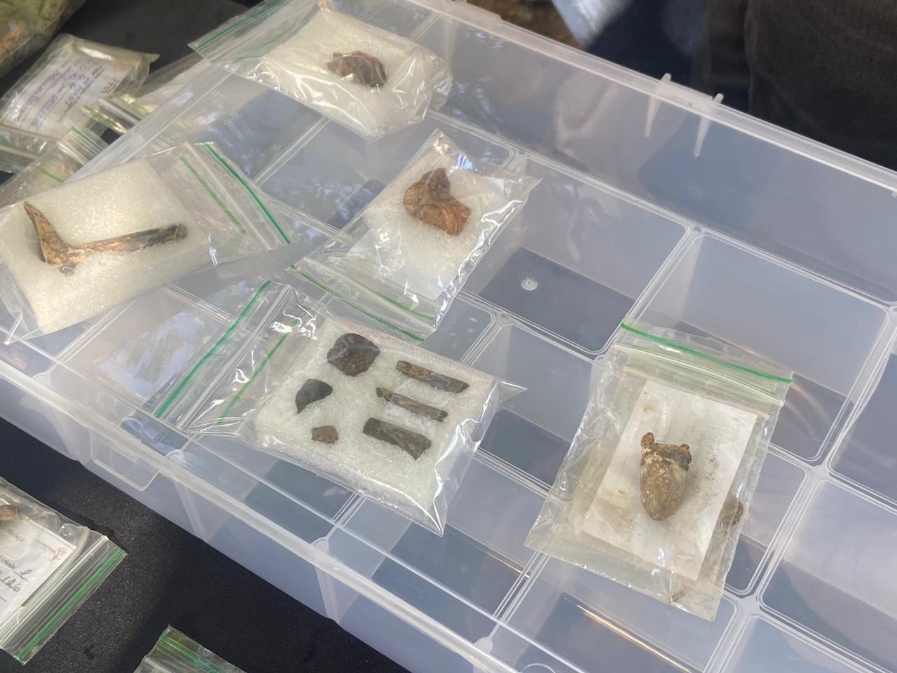 Arqueólogos encontram peças europeias dos séculos 18 e 19 durante obras em praça no Amapá