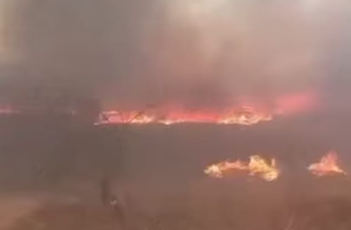 Incêndio atinge áreas de mata no Sertão da PB e já consumiu quase 600 hectares