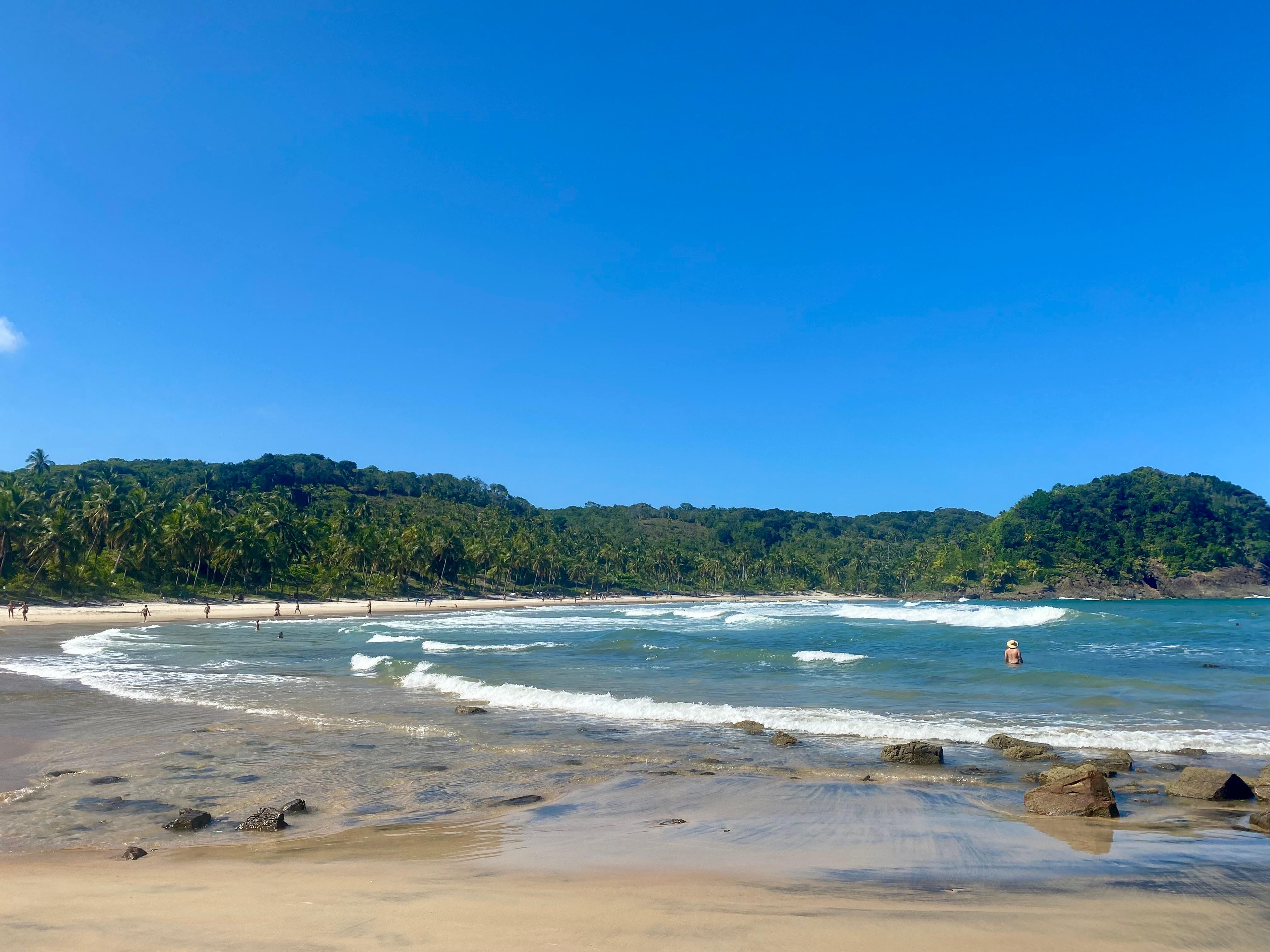 Tributação 'verde' pode transformar preservação do litoral baiano em justiça fiscal