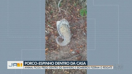 VÍDEOS: Jornal Anhanguera 1ª Edição Regiões de segunda-feira, 21 de setembro de 2026