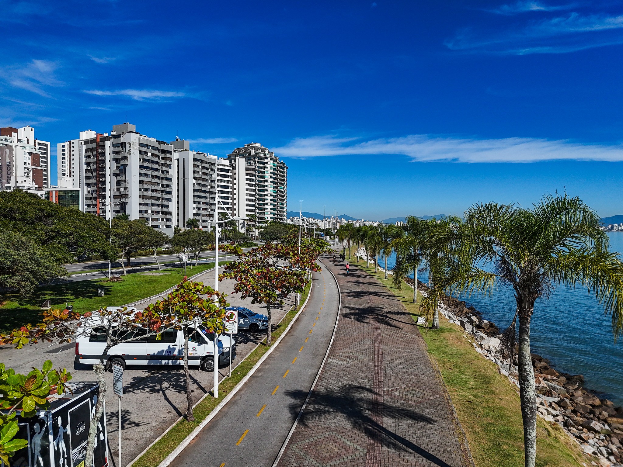 Floripa leva Plano de Arborização aos bairros com oficinas abertas à população