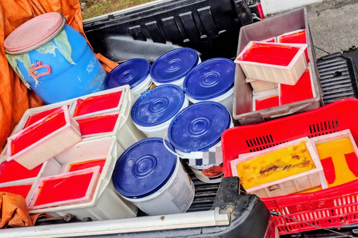 Polícia apreende mais de 300 kg de laticínios sem refrigeração na BR-423, em Garanhuns