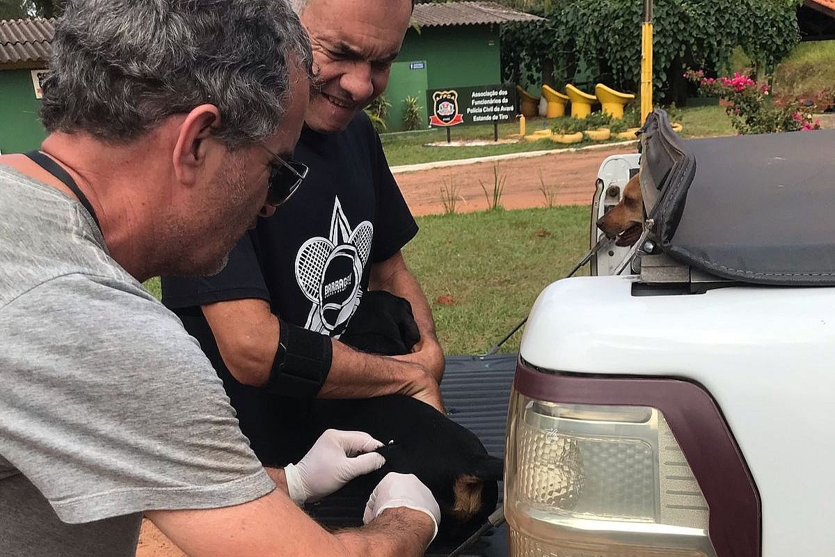 Você Não Tá Convidada pro Meu Bat Mitzvá!