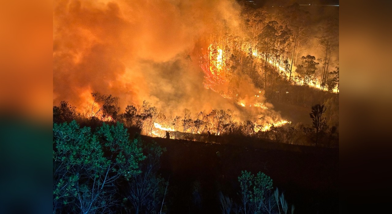 Incêndio atinge mata perto do Aeroporto Catarina em São Roque