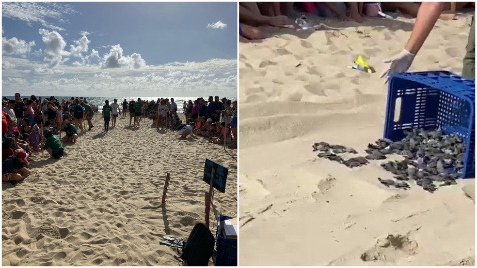 Diversas pessoas acompanharam o momento. — Foto: Divulgação