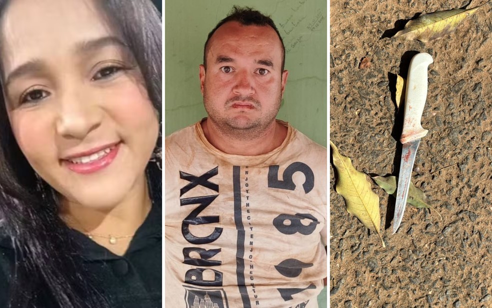 Ariane Martins Duarte, de 31 anos, foi morta a facadas pelo ex-namorado, Rafael Moura Lucas, em Piracanjuba — Foto: Reprodução/Redes Sociais, Polícia Militar e Polícia Civil