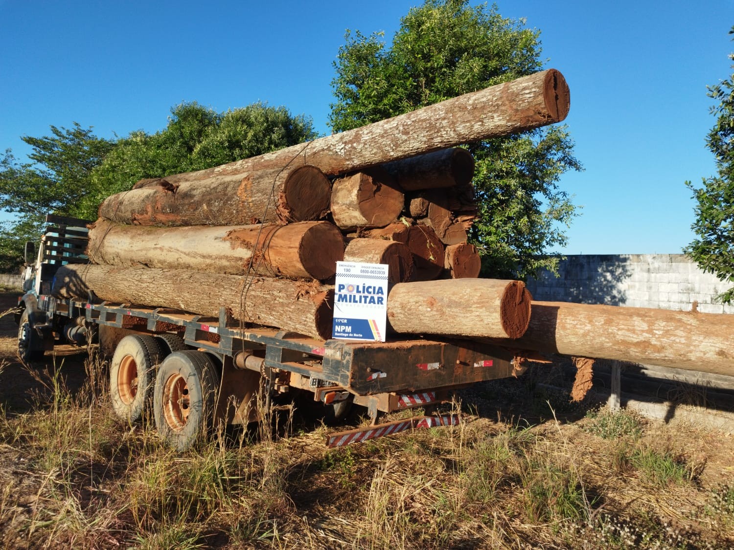 Seis pessoas são presas em flagrante por extração ilegal de madeira em Paranatinga (MT) 