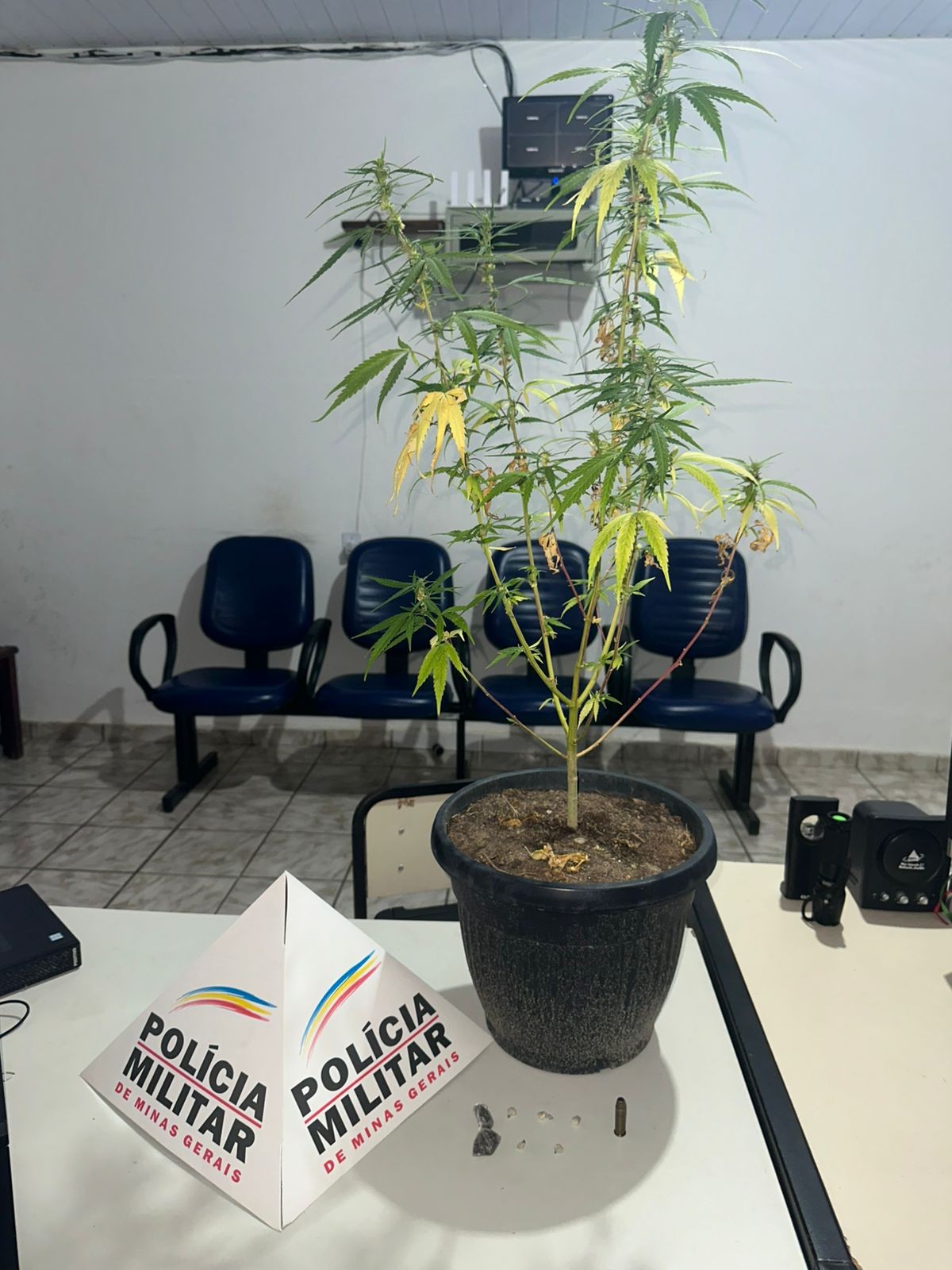 Crack, maconha e munição são apreendidos em São Geraldo do Baixio