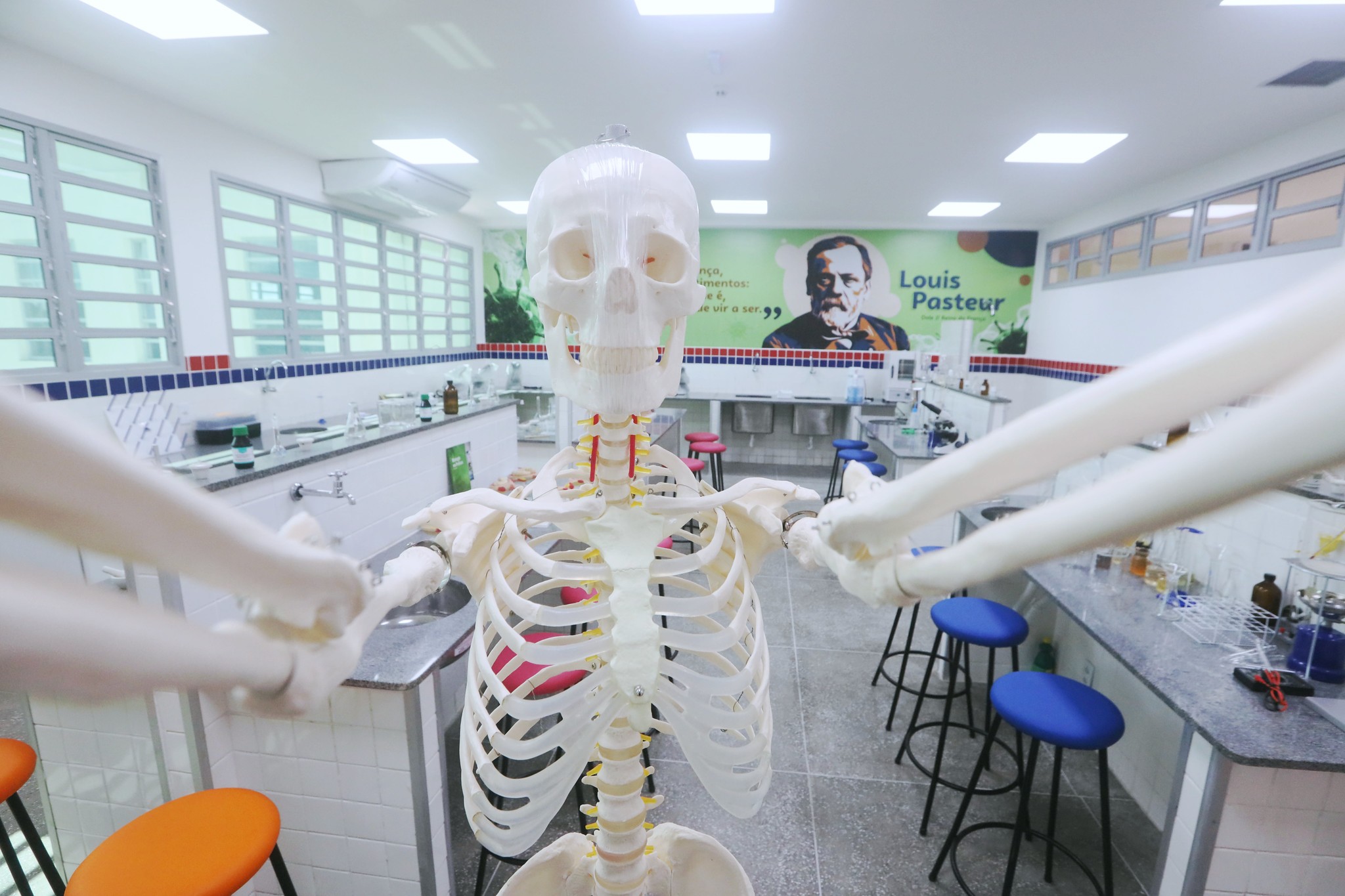 Óleo para ansiedade e cacto virando bioplástico: conheça projetos de pesquisa desenvolvidos por estudantes baianos