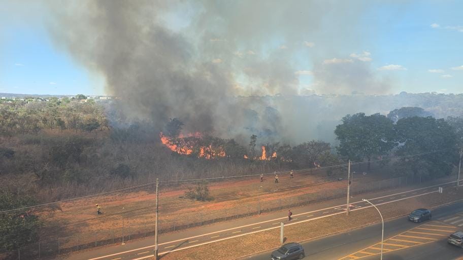 Incêndio atinge mata próxima à pista no parque Burle Marx no Noroeste, no DF; veja VÍDEOS