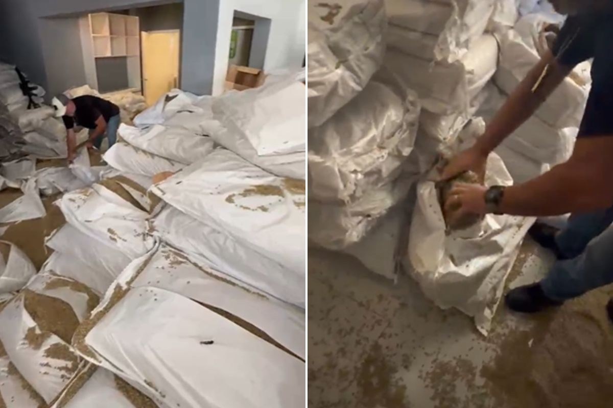 Iranianos são presos com mais de 180 kg de cocaína em sacas de café no litoral de SP; VÍDEO
