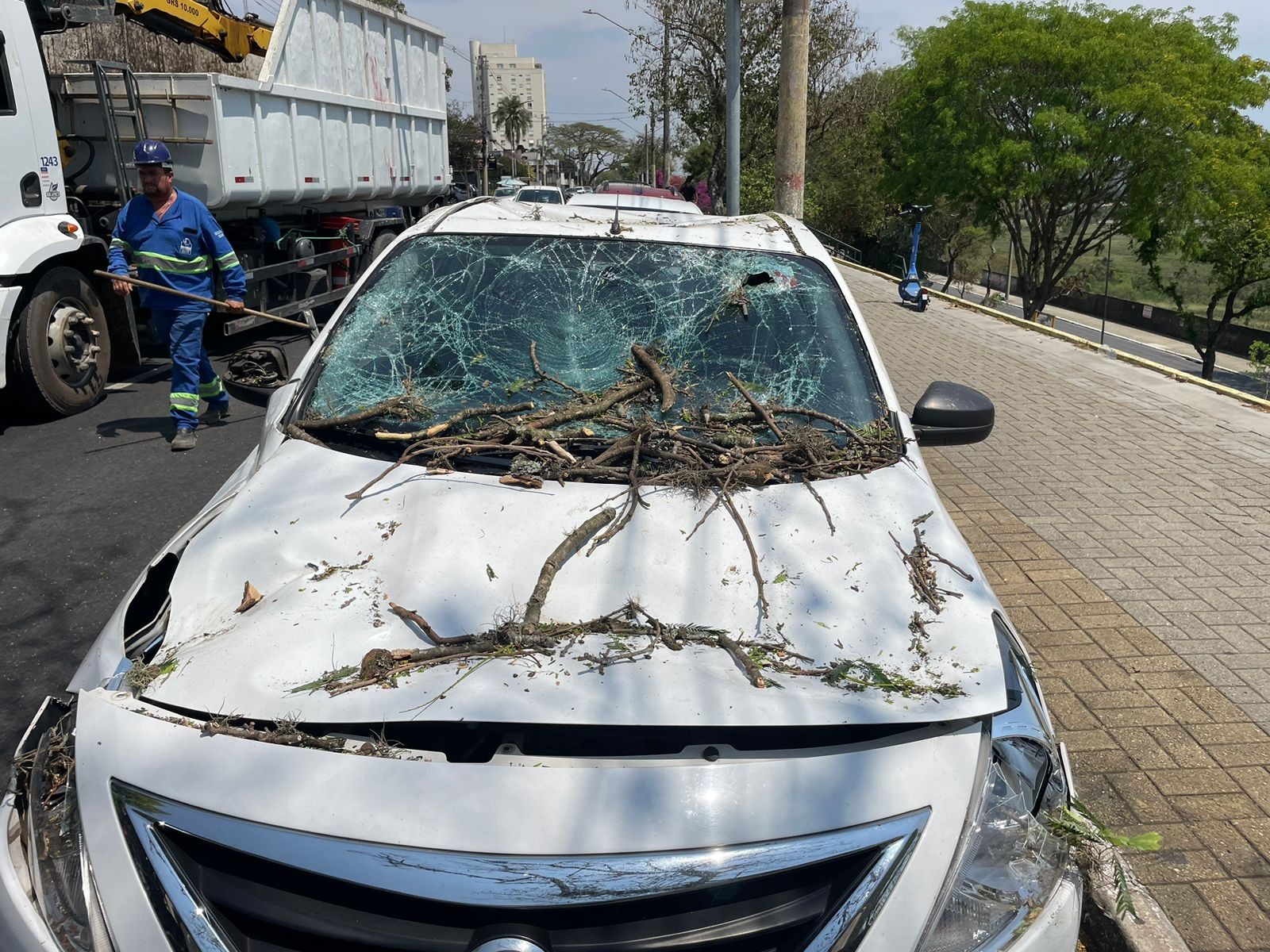 Galho de árvore de grande porte cai e atinge carro na avenida Anchieta, em São José dos Campos