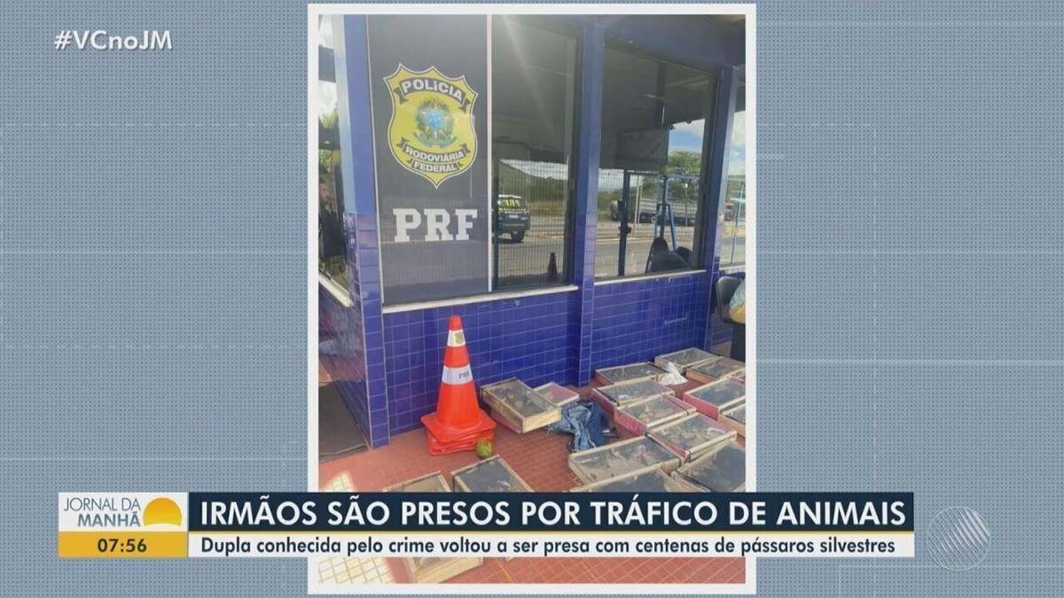 Dois irmãos são presos por suspeita de tráfico de animais na Bahia