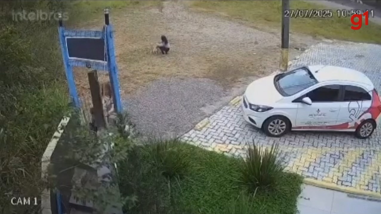 Câmera flagra abandono de cachorro em Florianópolis, e polícia investiga