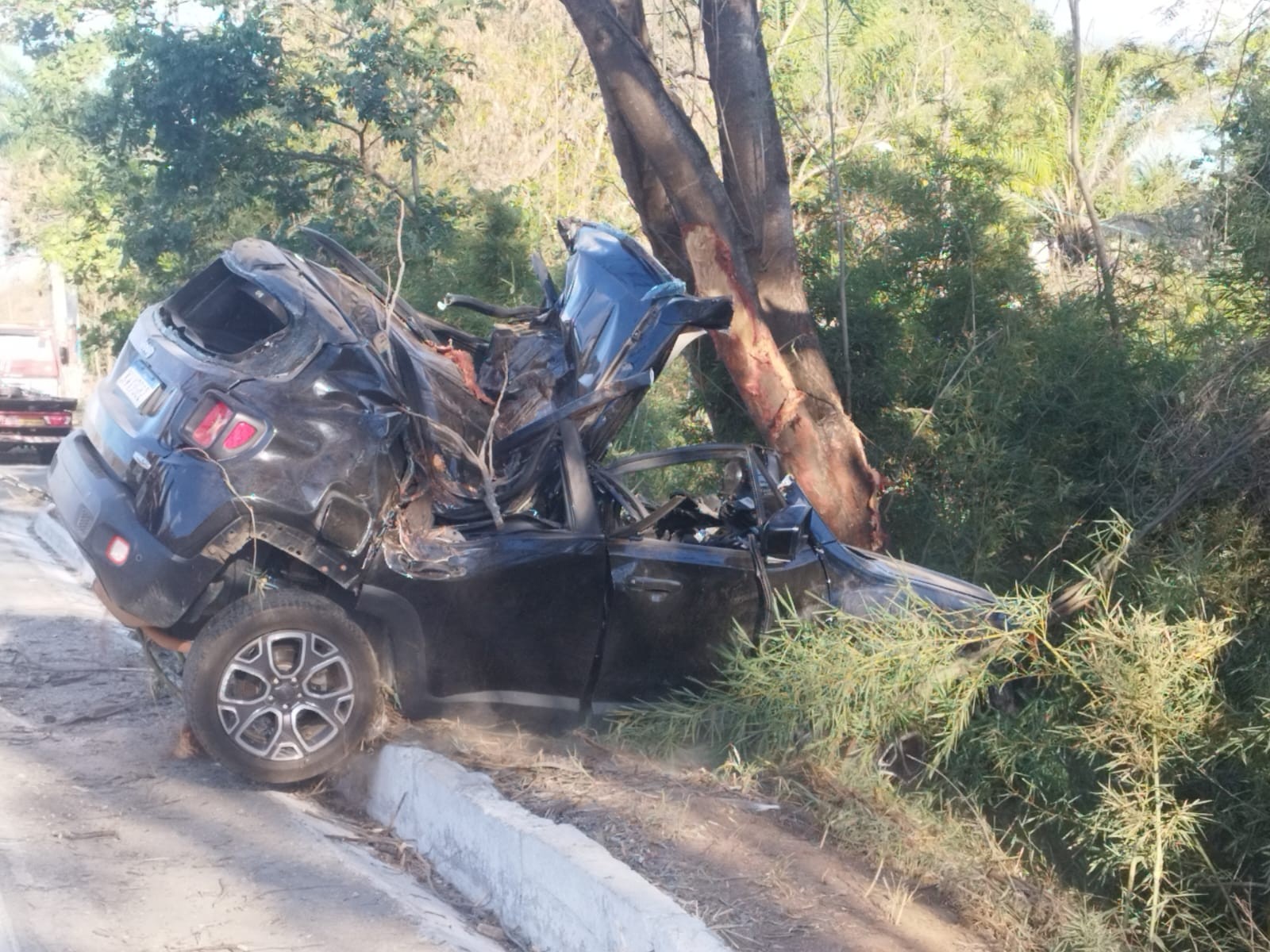Mulher fica ferida após perder controle de carro e bater em árvore na BR-259