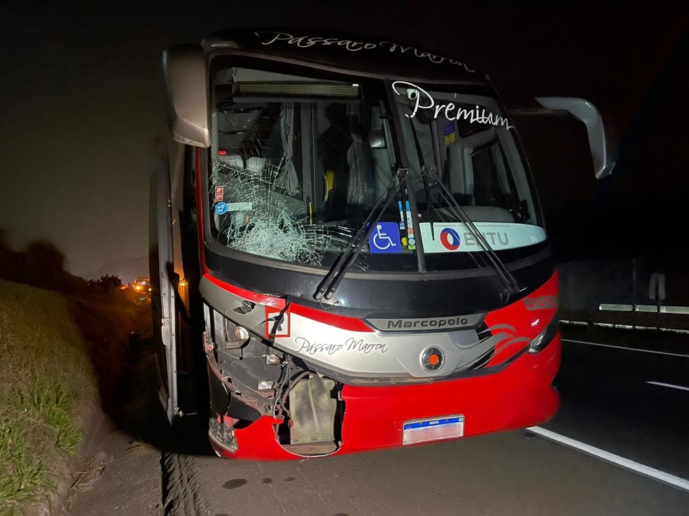 Ônibus atropela romeiros na Dutra; uma pessoa morre — Foto: Andrêza Benevides/TV Diário