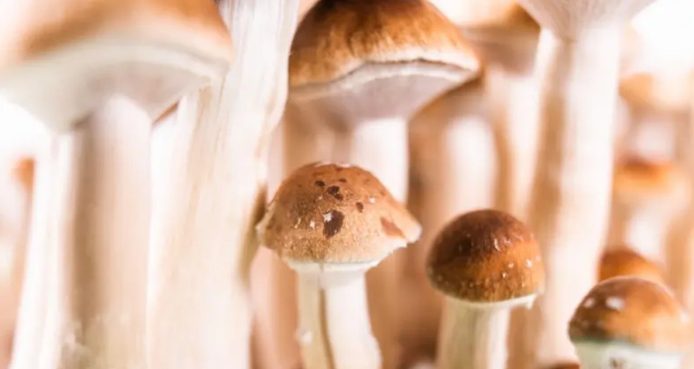 Ravi Das defende que, quando ficar comprovado que as terapias psicodélicas são seguras e eficazes, elas sejam disponibilizadas pelo serviço de saúde pública do Reino Unido — Foto: Getty Images