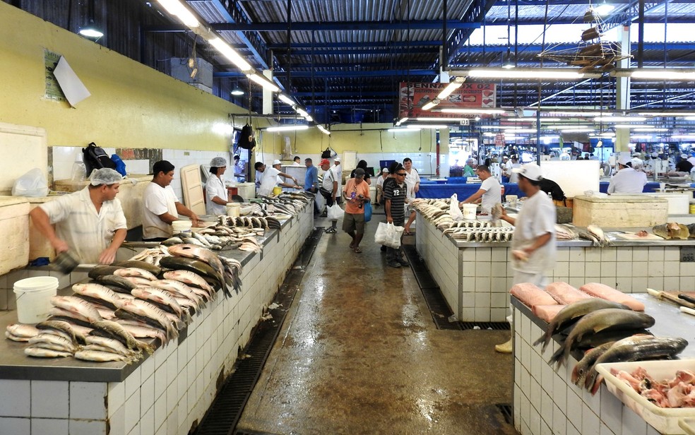 Veja onde comprar peixe em Manaus durante o período da Quaresma 2023 | Amazonas | G1