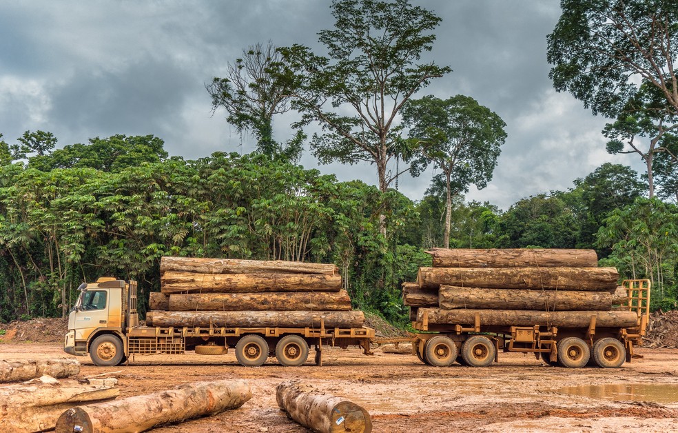 Joguinho de exploração q se passa na Amazônia q dá pra fazer