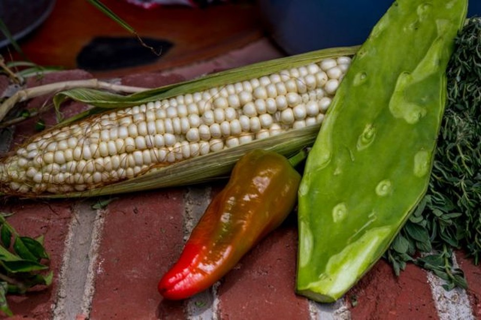 Ingredientes tradicionais da gastronomia mexicana: milho, pimenta e nopal. Foto tirada na fazenda Casa Cuubi em San Antonino Castillo Velasco, perto de Oaxaca — Foto: INPHO