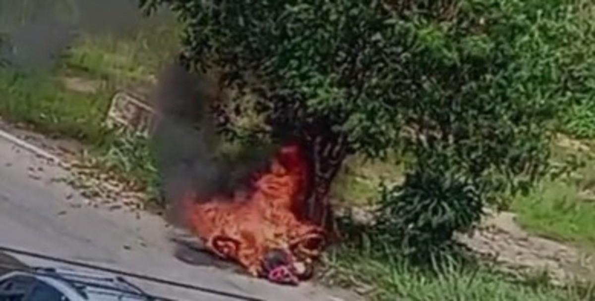 Moto bate em árvore, pega fogo e mata pessoa na Via Dutra, em Resende