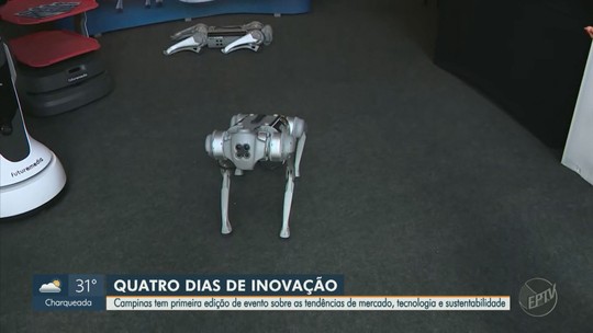 De cachorro robô a 'voo' de asa-delta: veja o que é novidade em evento de tecnologia em Campinas - Programa: Jornal da EPTV 1ª Edição - Campinas/Piracicaba 