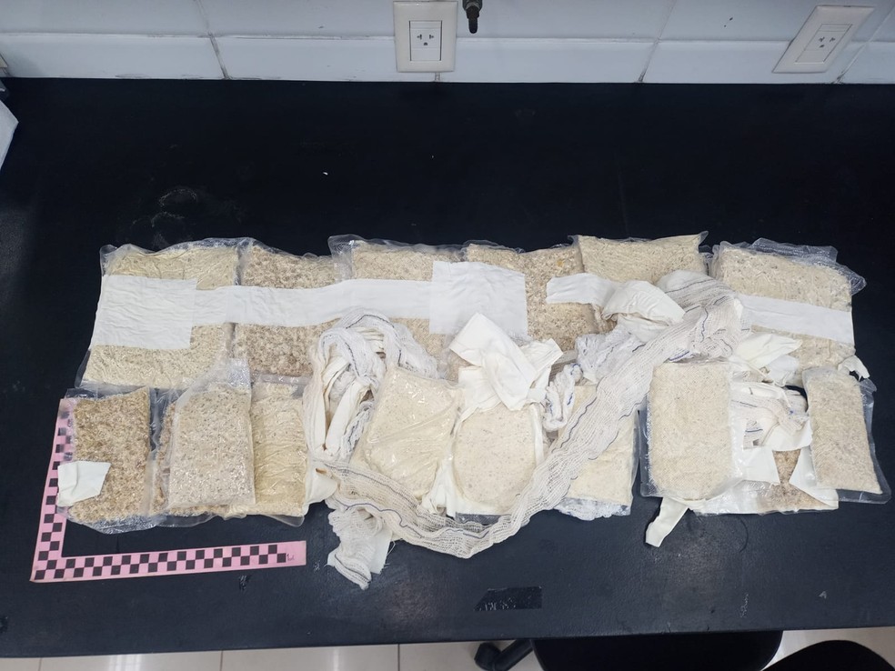 Polícia Federal apreendeu 5,6kg de cocaína que estavam presos em corpo de passageira no Aeroporto Internacional de Fortaleza. — Foto: Polícia Federal/ Divulgação