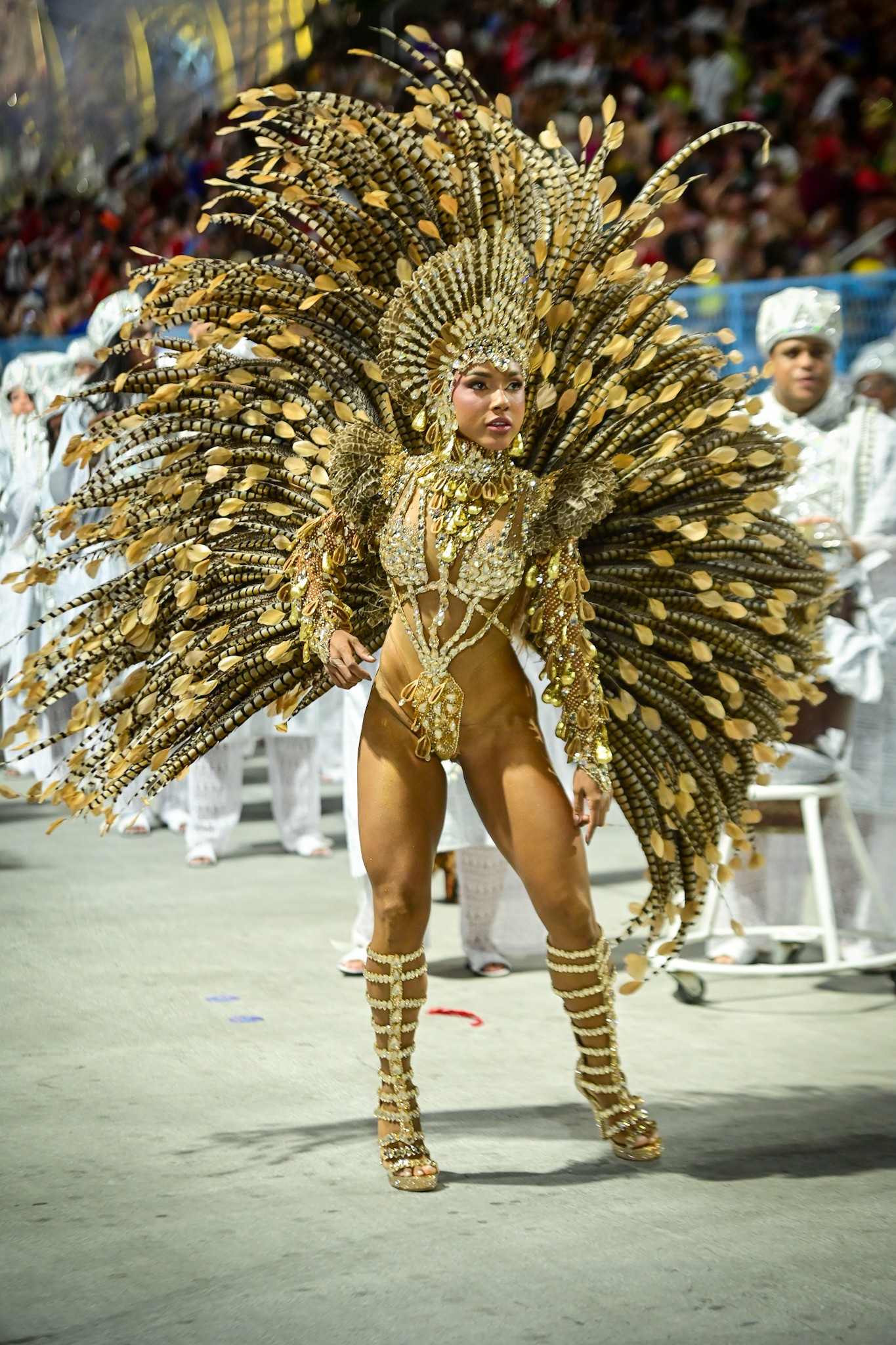 FOTOS: Destaques da terceira noite de desfiles no Carnaval do Rio