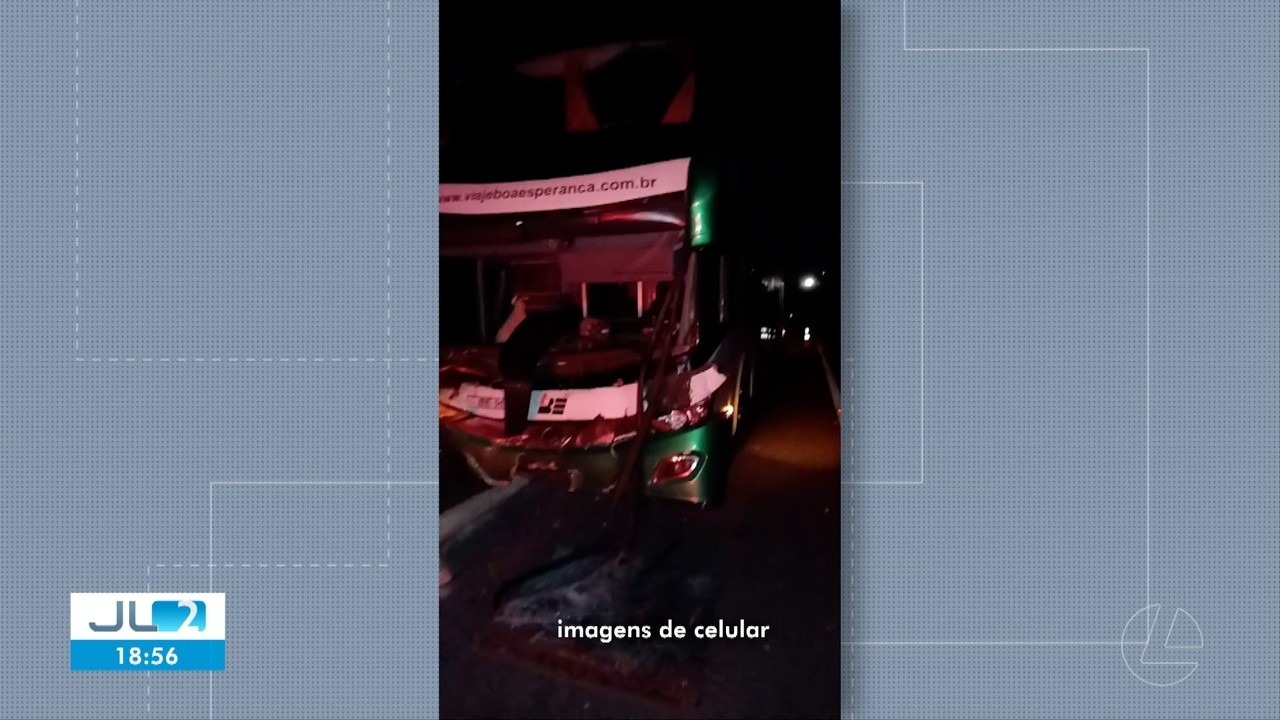 Ônibus colide com vaca na PA-150 entre Jacundá e Goianésia do Pará