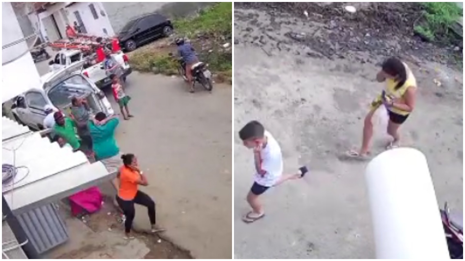 Vídeo: Enxame de abelhas ataca pessoas em velório e deixa feridos no Ceará