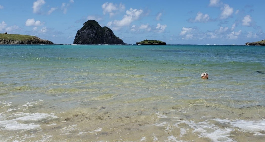 Mergulhos na Praia do Sueste, em Noronha, são suspensos após drone detectar tubarões-tigre em comportamento de alimentação