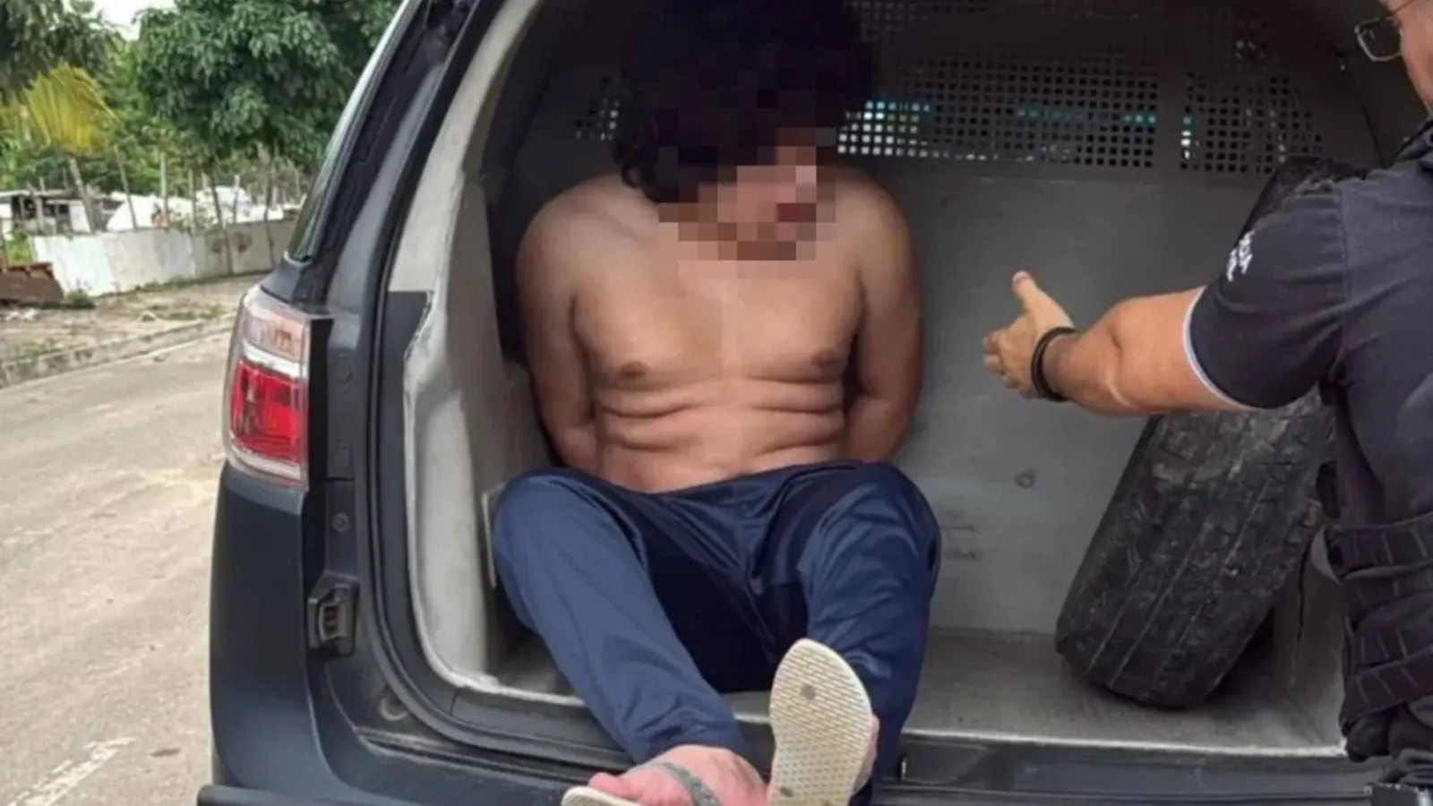 Agia 'sem compaixão', diz delegado sobre homem que matou mais de 100 animais e transmitiu na internet