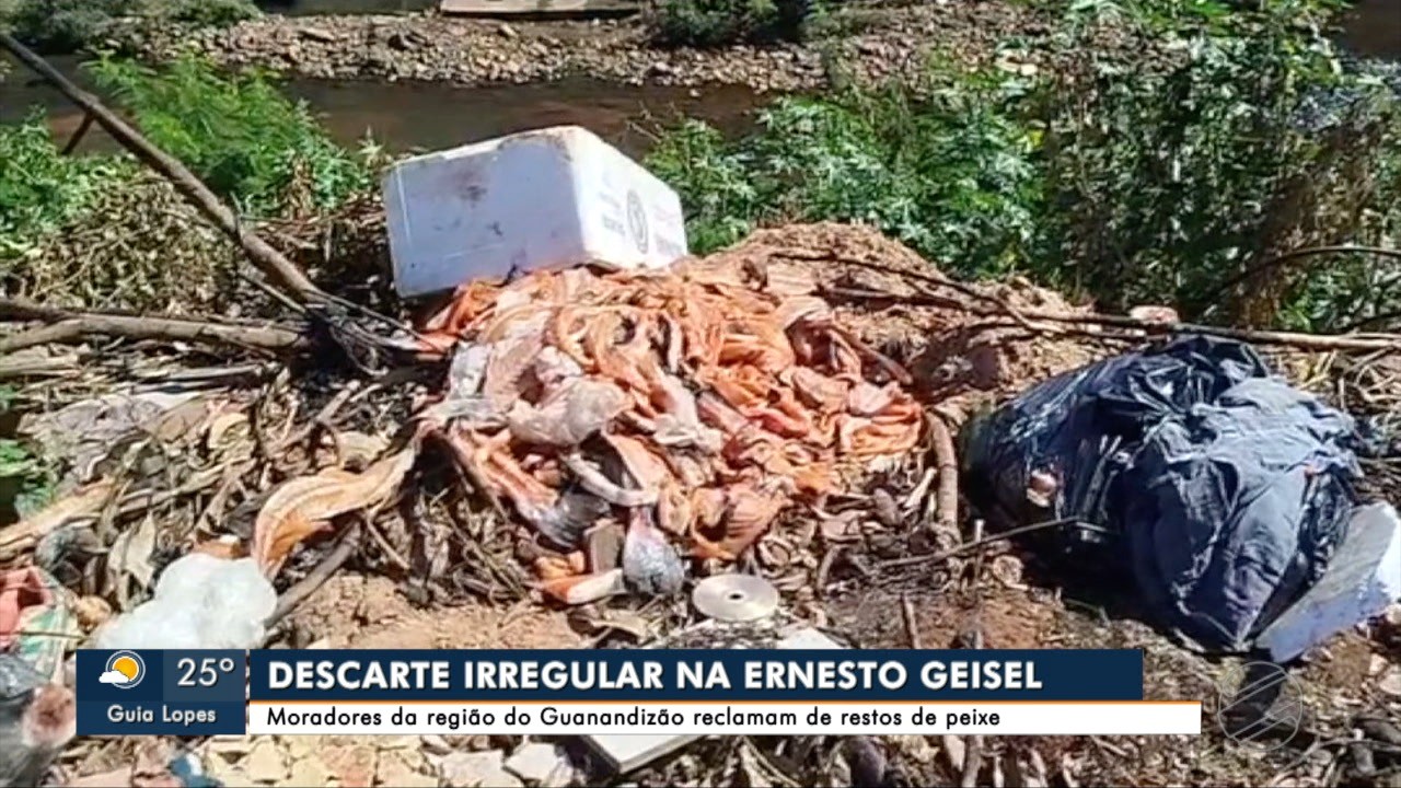 Carga de salmão é jogada à beira de rio e revolta moradores com mau cheiro em Campo Grande