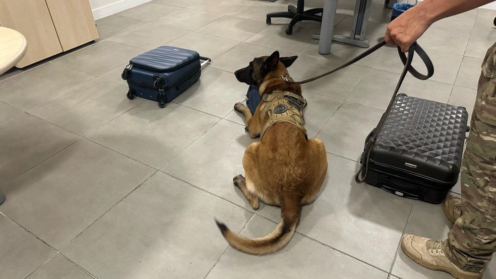 PF prende em flagrante passageiro que desembarcou com 5kg de cocaína em mochila, no Aeroporto de Vitória. Espírito Santo. — Foto: PF/ES