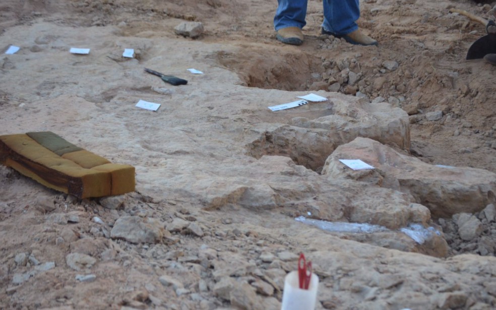 Papeis marcam pontos na rocha onde foram encontrados fósseis, em Monte Alto, SP — Foto: Arquivo pessoal