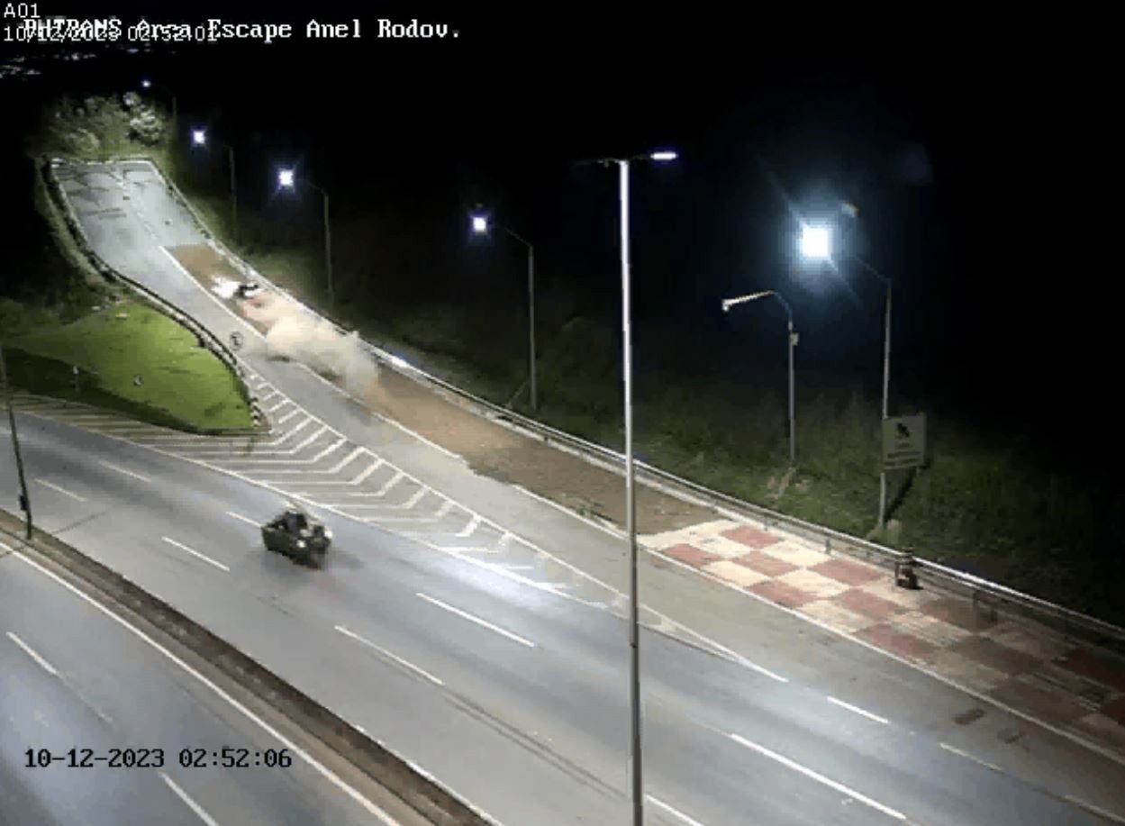 Vídeo mostra momento em que carro de luxo atinge área de escape do Anel Rodoviário; motorista abandonou o Jaguar