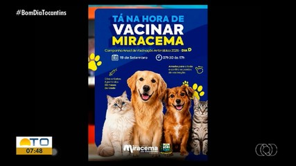 Mutirão de vacinação de pets é realizado em Miracema do Tocantins neste sábado (19)
