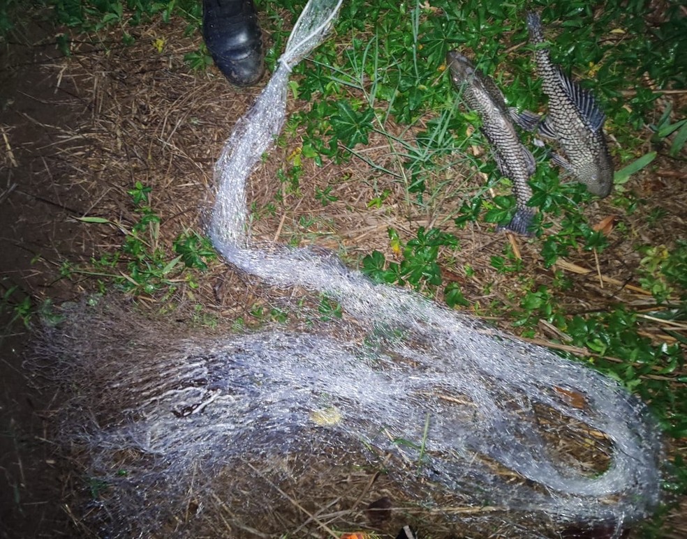 Dupla é flagrado pescando com tarrafas, tenta fugir pulando na água e recebe multa de R$ 4 mil, em Rancharia (SP) — Foto: Polícia Ambiental
