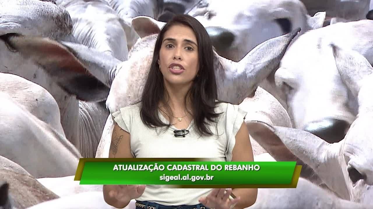VÍDEOS: Gazeta Rural de domingo, 11 de maio