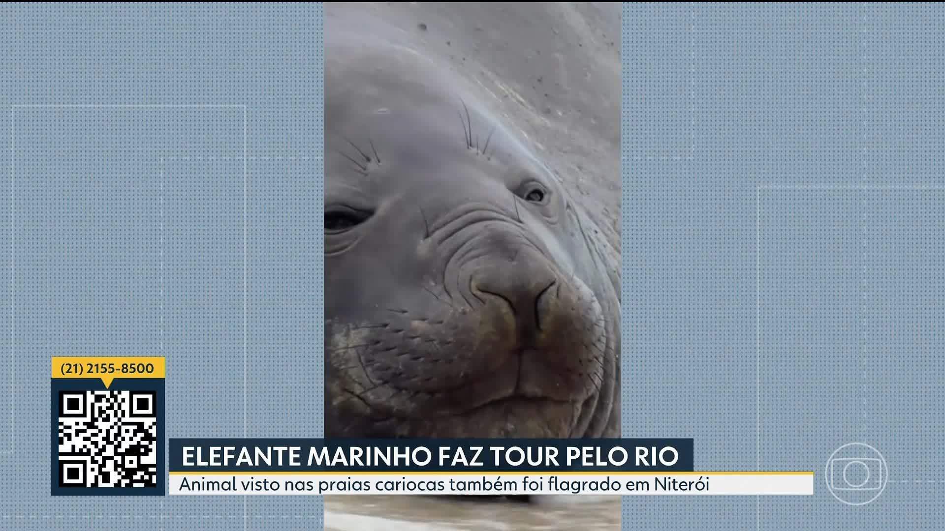 VÍDEOS: Bom Dia Rio de terça, 6 de outubro de 2026