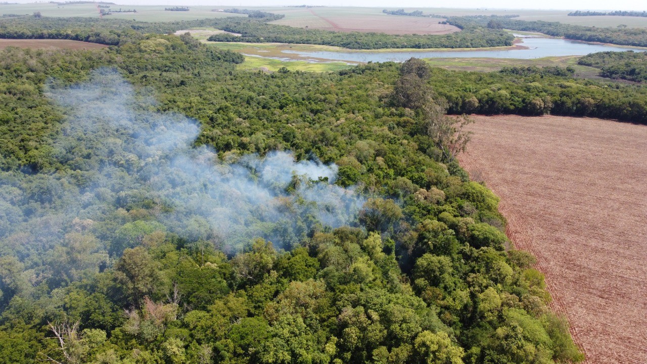 STF faz audiência para acompanhar medidas de governos no combate a incêndios no Pantanal e Amazônia