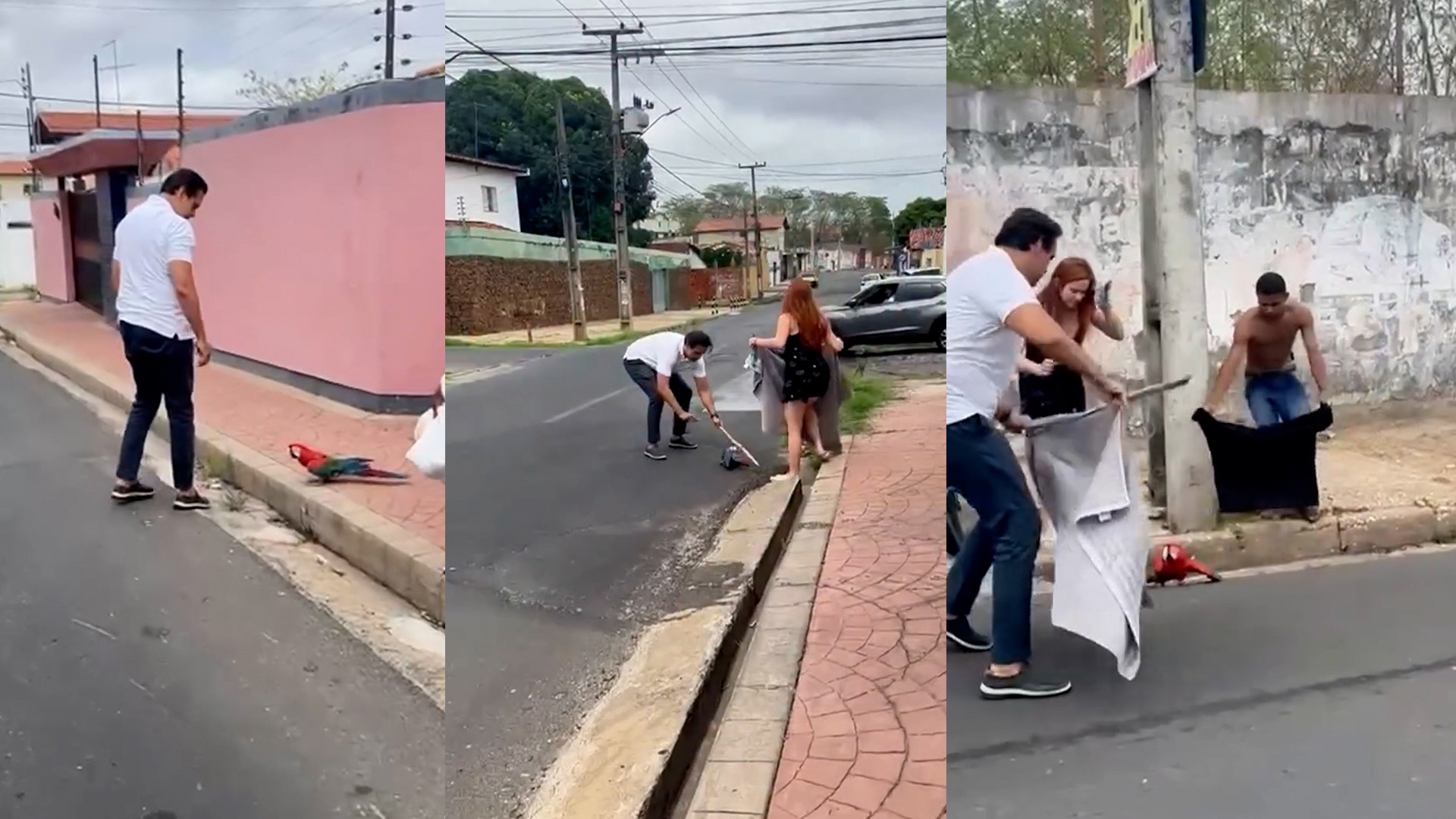 Você Não Tá Convidada pro Meu Bat Mitzvá!